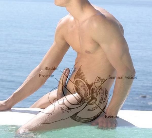 comment faire jouir son homme comment faire jouir son homme