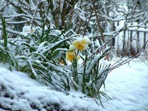 DSCF0012-copie-1.JPG