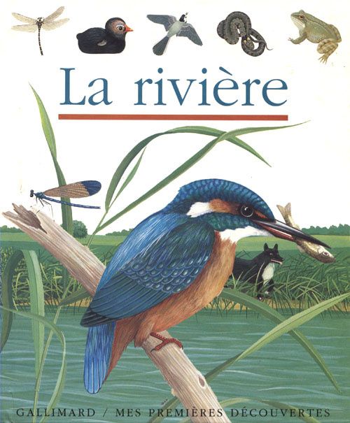 premieres-decouvertes-la-riviere