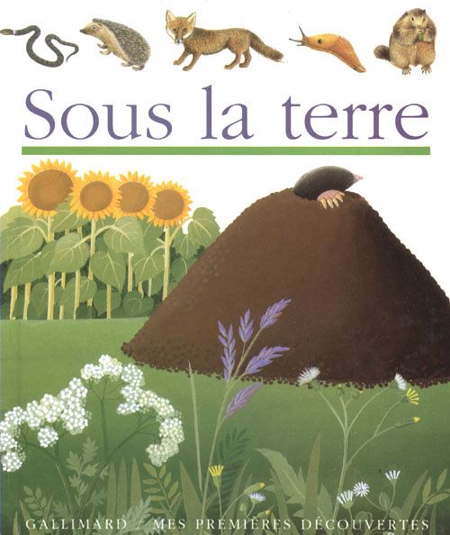 premieres-decouvertes-sous-la-terre