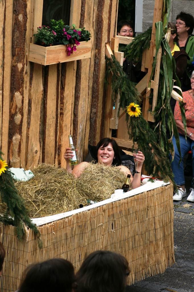 Der landwirtschaftliche Umzug des Fränkischen Volksfestes in Crailsheim gilt als der schönste. (Fotos von Detlef Horn)