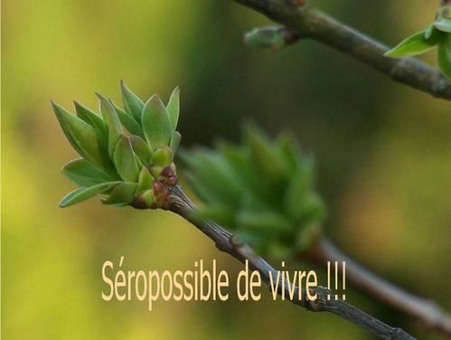 s--ropossible-.jpg