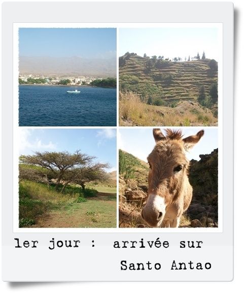 jour 1