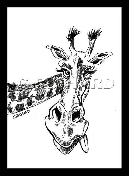 Girafe.jpg