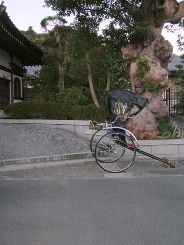 DSCN5477.jpg
