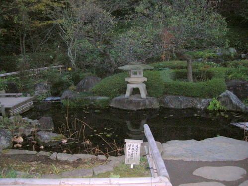 DSCN5478.jpg