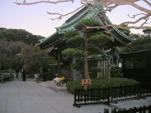 DSCN5480.jpg