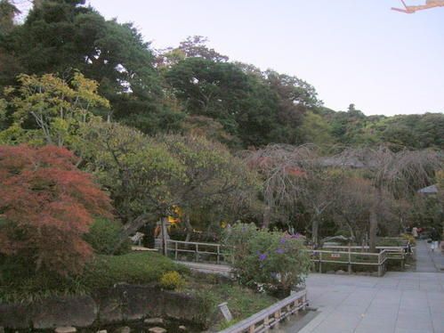 DSCN5481.jpg