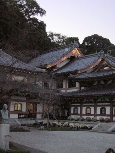 DSCN5486.jpg