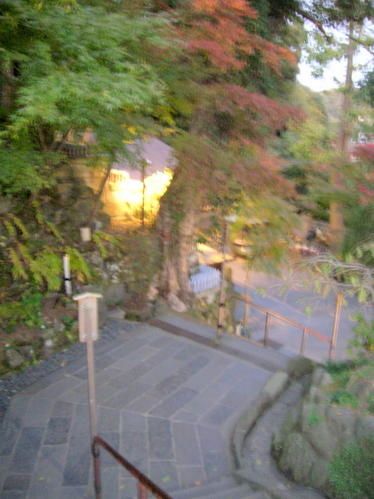 DSCN5495.jpg