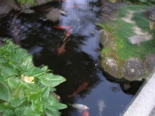 DSCN5497.jpg