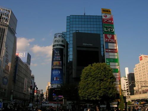 DSCN5510.jpg