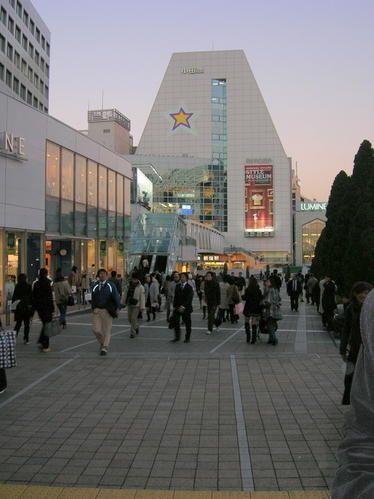 DSCN5516.jpg