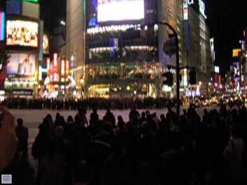 DSCN5522.jpg