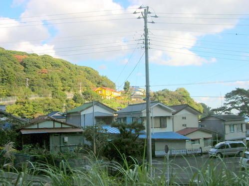 DSCN5549.jpg