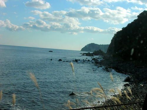 DSCN5554.jpg