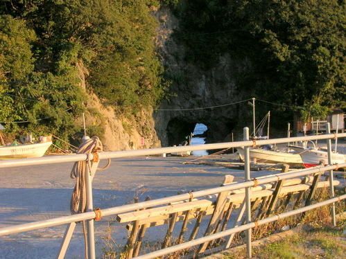 DSCN5569.jpg
