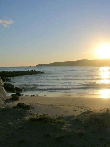 DSCN5570.jpg