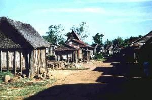 farangana.jpg