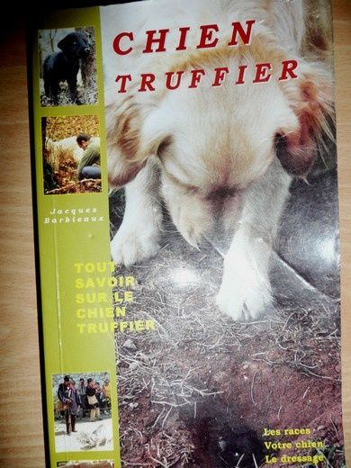 Stage Dressage Chien Truffier Stage Dressage Chien Truffier