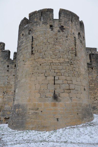 cité aude carcassonne 1002 (8)