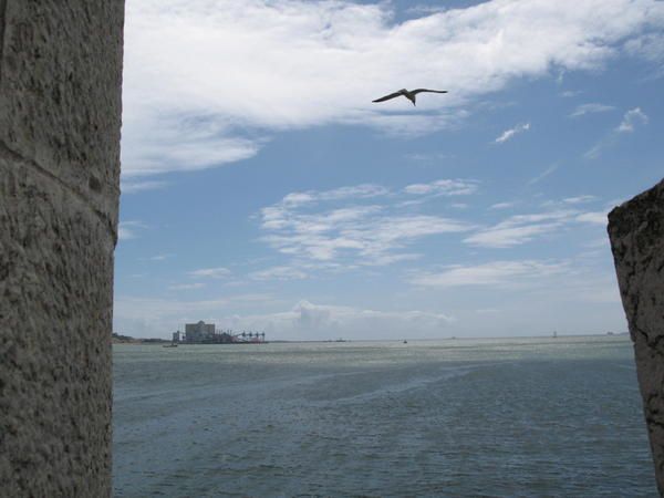 vol de la mouette