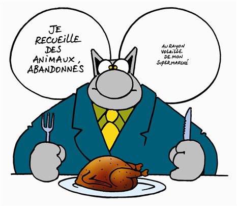 geluck volailles abndonnées