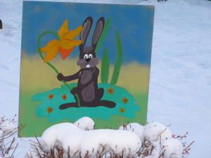 IMG_1618.JPG