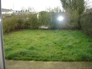 le-jardin.jpg