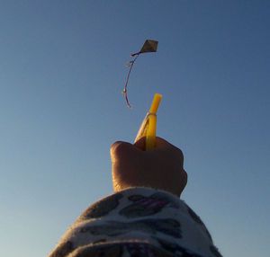 Le cerf-volant monte dans le ciel