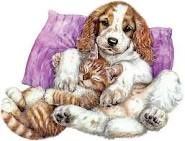chien-chat.jpeg