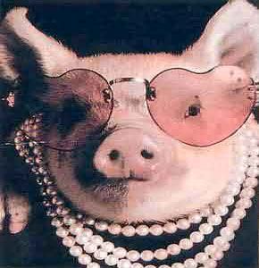 photos_humour_animaux_sauvages-20-8-.jpg