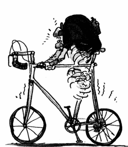 velo.gif