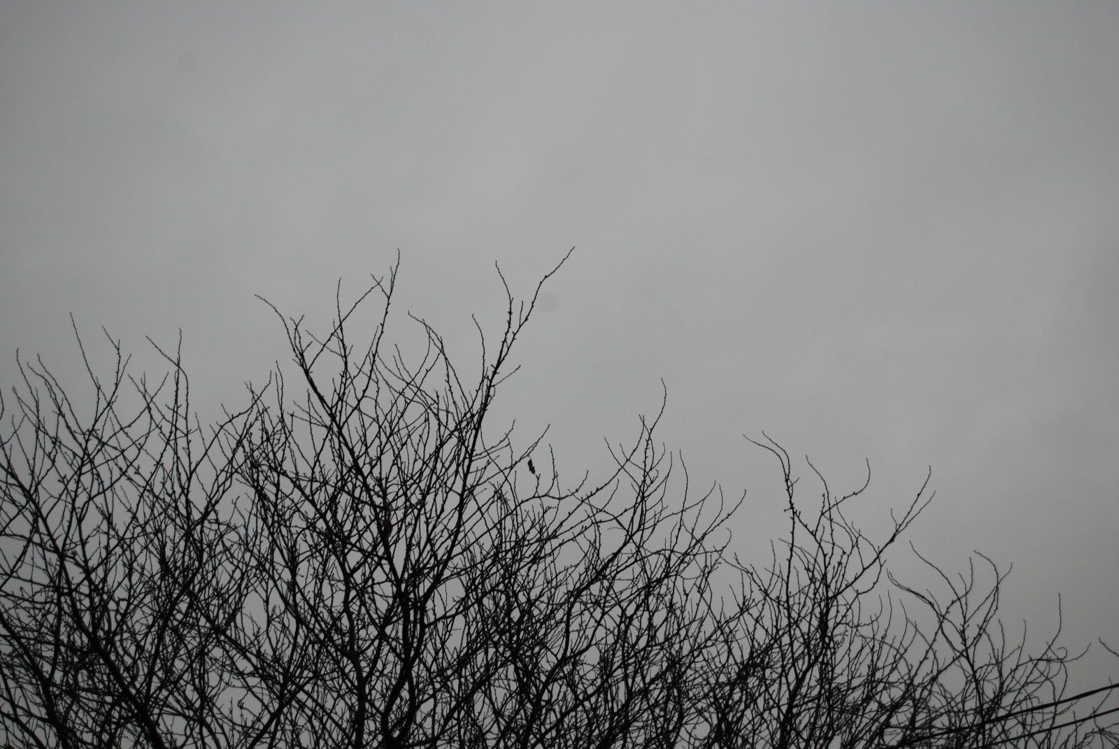 ciel du 16 nov.