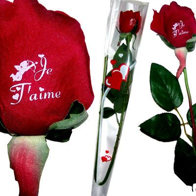 rose_st_valentin.jpg