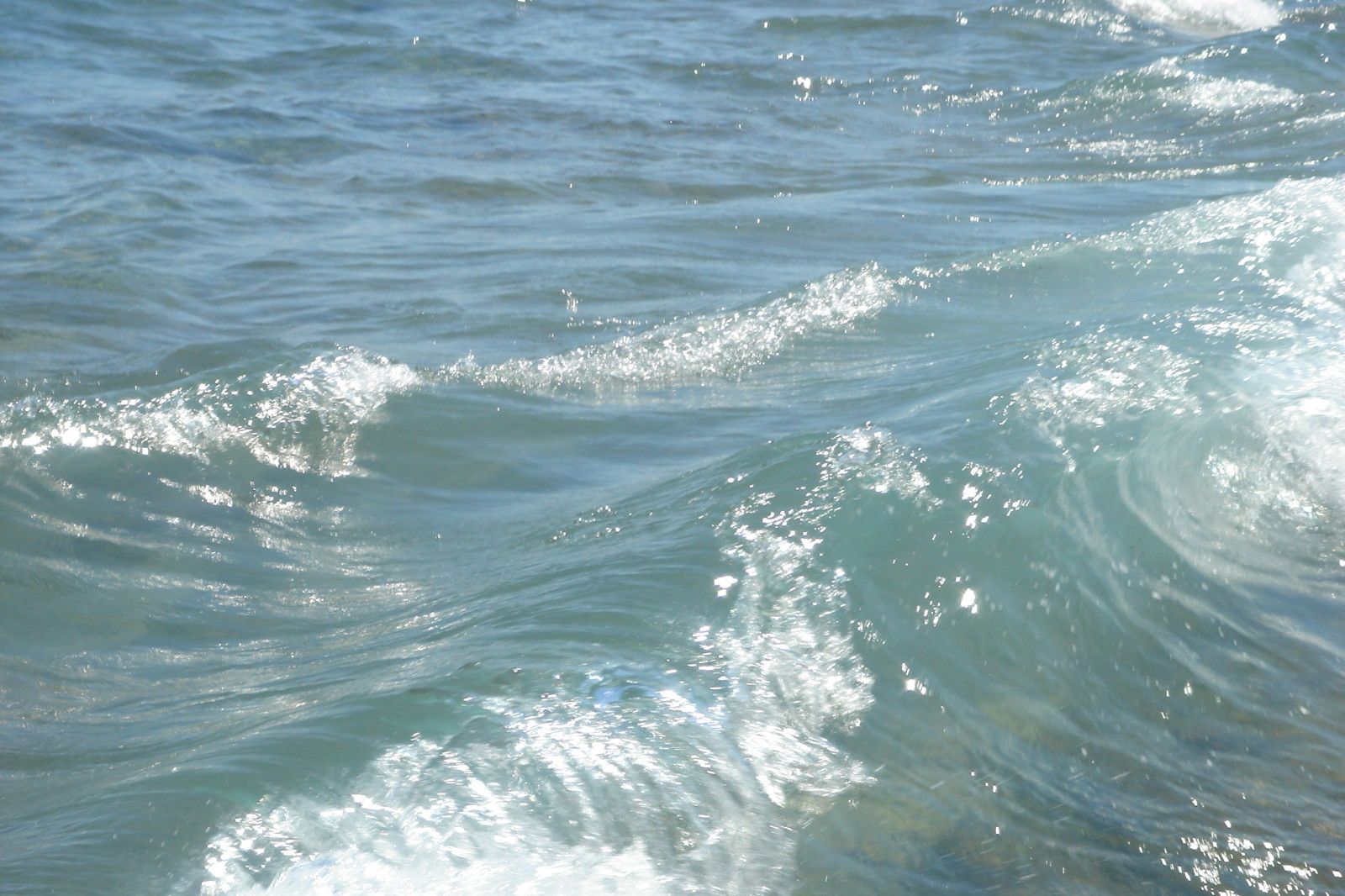 un peu de surf??