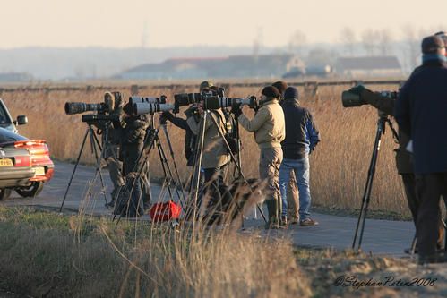 AmbianceUitkerkeHibou02-08.jpg