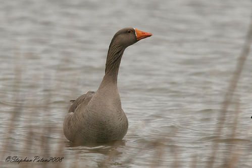 OiecendreeZelande02-08.jpg