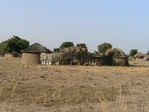 Vivavi-006.jpg