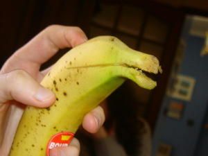 banane-dauphin.jpg