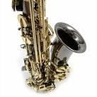 SaxAlto.JPG