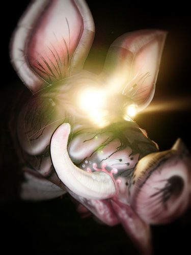 pf pig scary