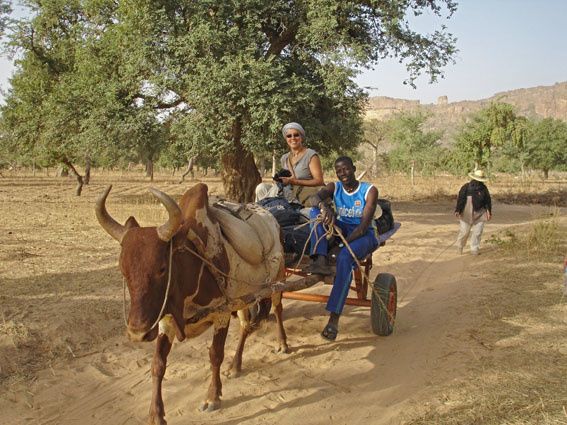 AMADOU-ET-CATHY---DD.jpg