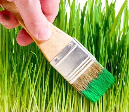 greenwashing_sanslicence.jpg