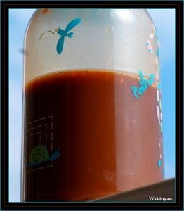 question EMULSIFIANTbjr j ai une question Lecithine-5-copie-1