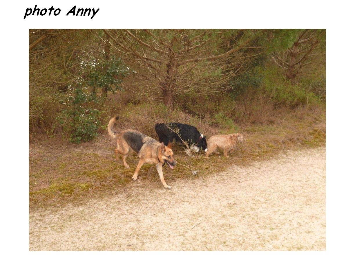 Rencontre motarde