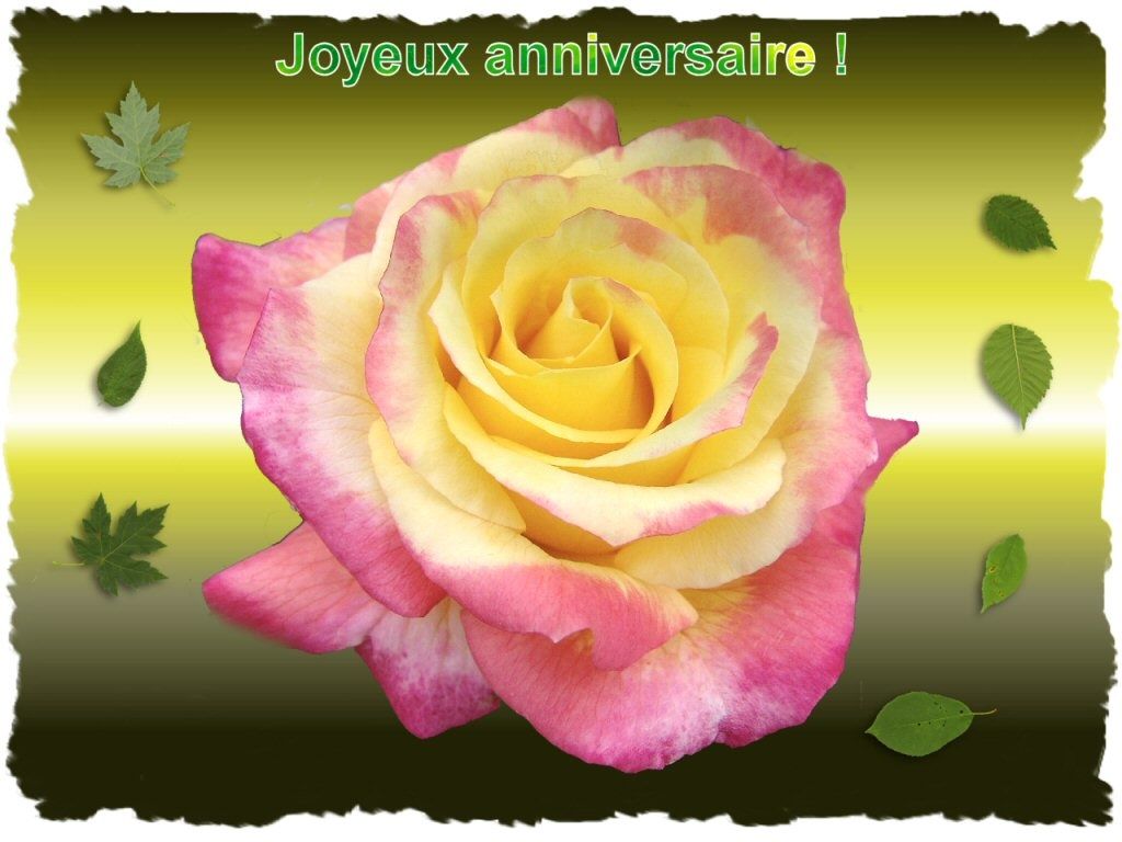 carte rencontre anniversaire