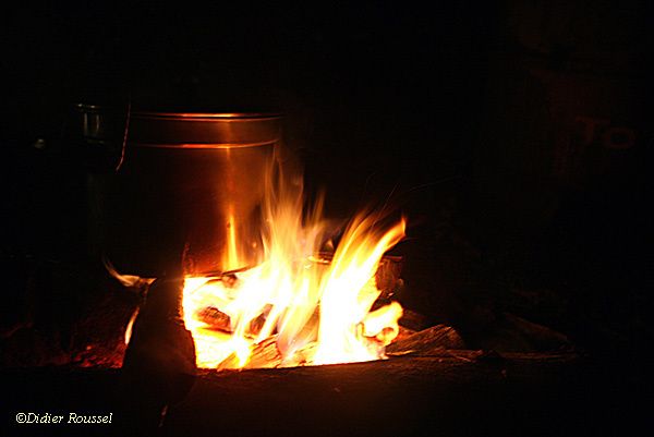 Feudebois