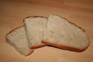 IMG-5739-copie-1.JPG