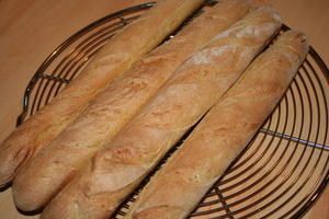 IMG-5756.JPG